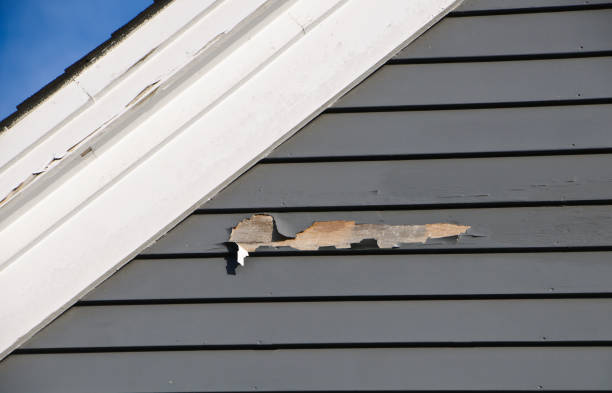 Affordable Siding Repair and Maintenance Services in Dobson, NC